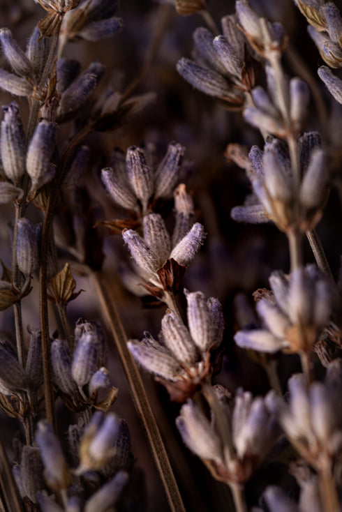 Sahumerio Natural Doble Lavanda y Olíbano